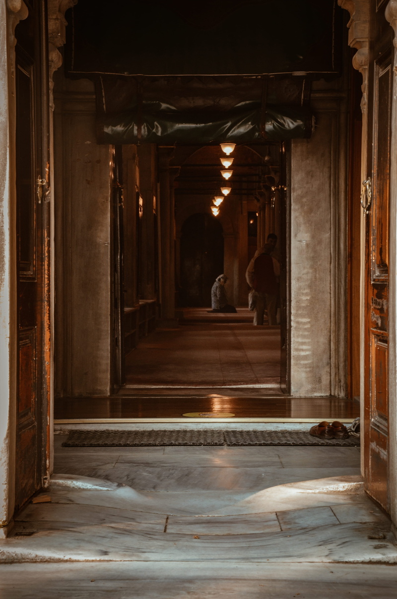 4K, luxury, history, sunlight, no people, architectural column, architecture, person, arcade, design, walls, the way forward, woman, hallway, wooden, building
