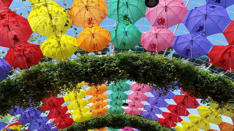 art and craft, arch, event, 2K, garden, plant, hanging, umbrellas, creativity, no people, multi colored, festival, decoration, traditional festival, low angle view