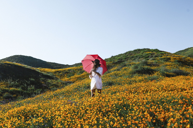 day, outdoors, sky, man, leisure activity, plant, grass, garden, springtime, one person, yellow, bloom, mountain, petal, flowering plant, freedom, green