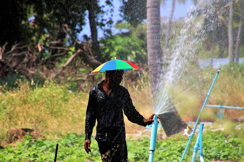 outdoors, lifestyle, the cultivation of, boiling hot, hat, 5K, men, maldives, motion, field, lifestyles, in the water, green, portrait, watering, village