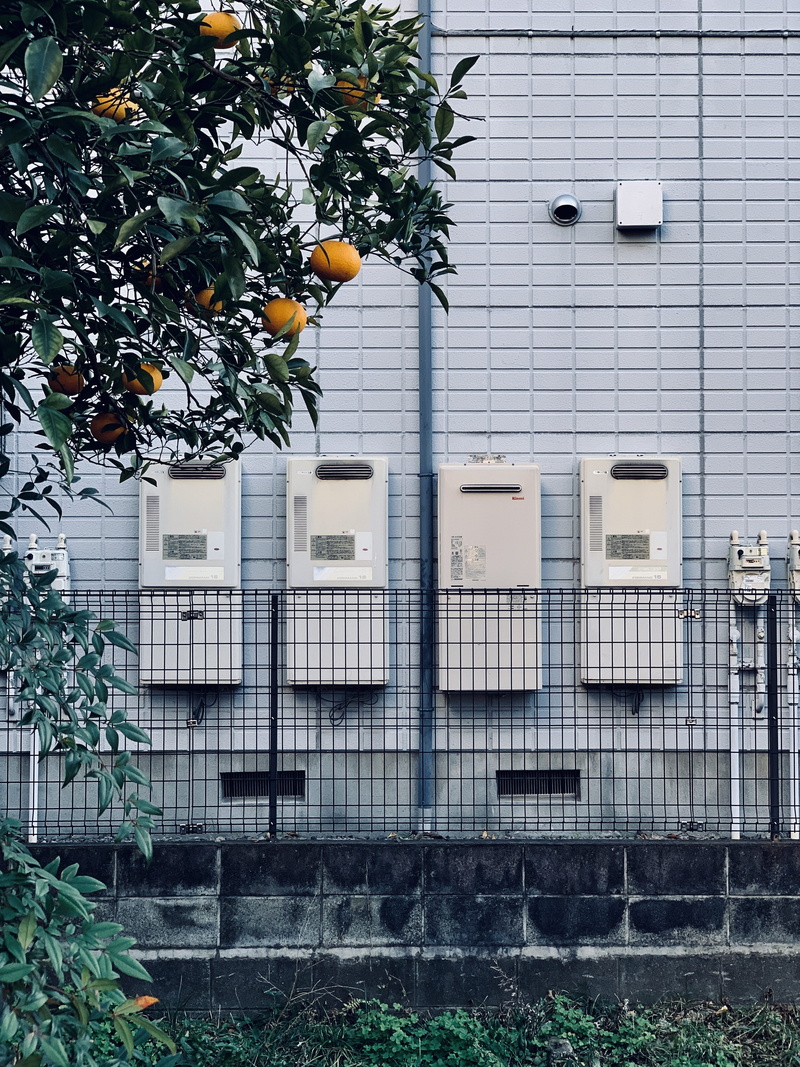 outdoors, hino-shi, architecture, handrail, fruit tree, day, building exterior, persimmon, house, japan, grid, window, durian, orange, grapefruit, built structure