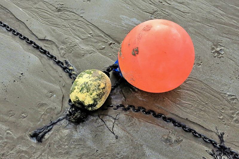 buoy, orange, fruit, helmet, wood - material, water, day, waterfowl, crash helmet, blossom, coconut, red, produce, close-up, high angle view, bird, mallard