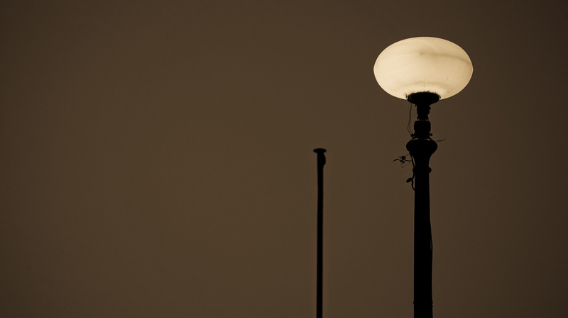 seagull, 5K, light fixture, street light, night, pole, antique, no people, lamp post, engine, lightbulb, light, copy space, animal, electric lamp, table lamp