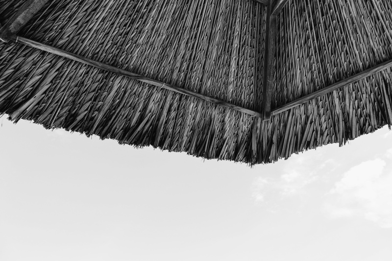 grille, patio umbrella, food, fruit, thatched roof, cleaning, window, umbrella, lamp, close-up, toy, nature, roof, shutter, broom, lampshade, curtain, low angle view