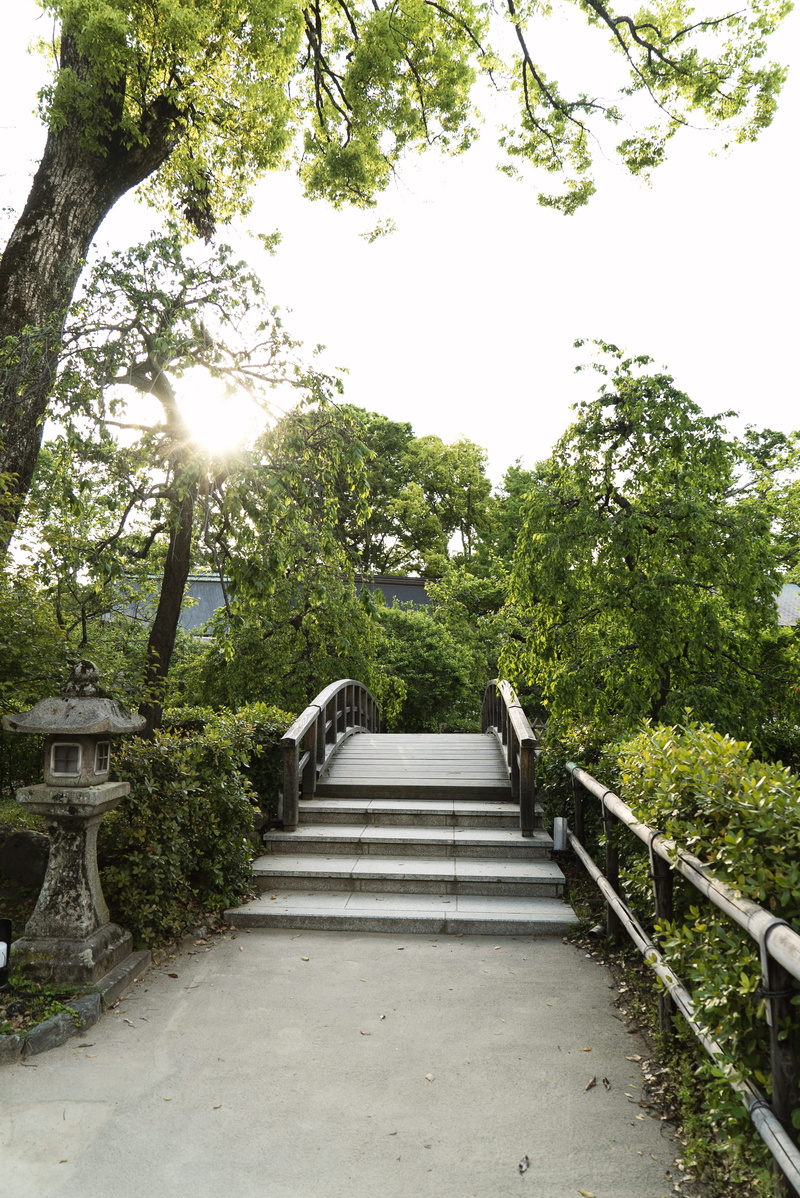 patio, sunlight, tranquility, kyoto, porch, direction, bridge, 4K, built structure, campus, building, plant, pergola, light, garden, arbour, sun, tree