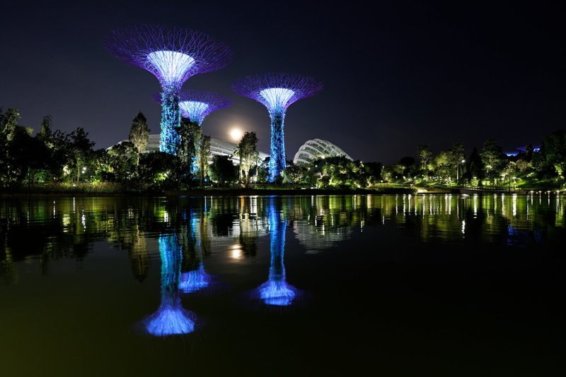 silhouette, singapore, sky, gardens by the bay, 8K, plant, water, outdoors, planetarium, nature, waterfront, scenery, tree, architecture, blue, crystal