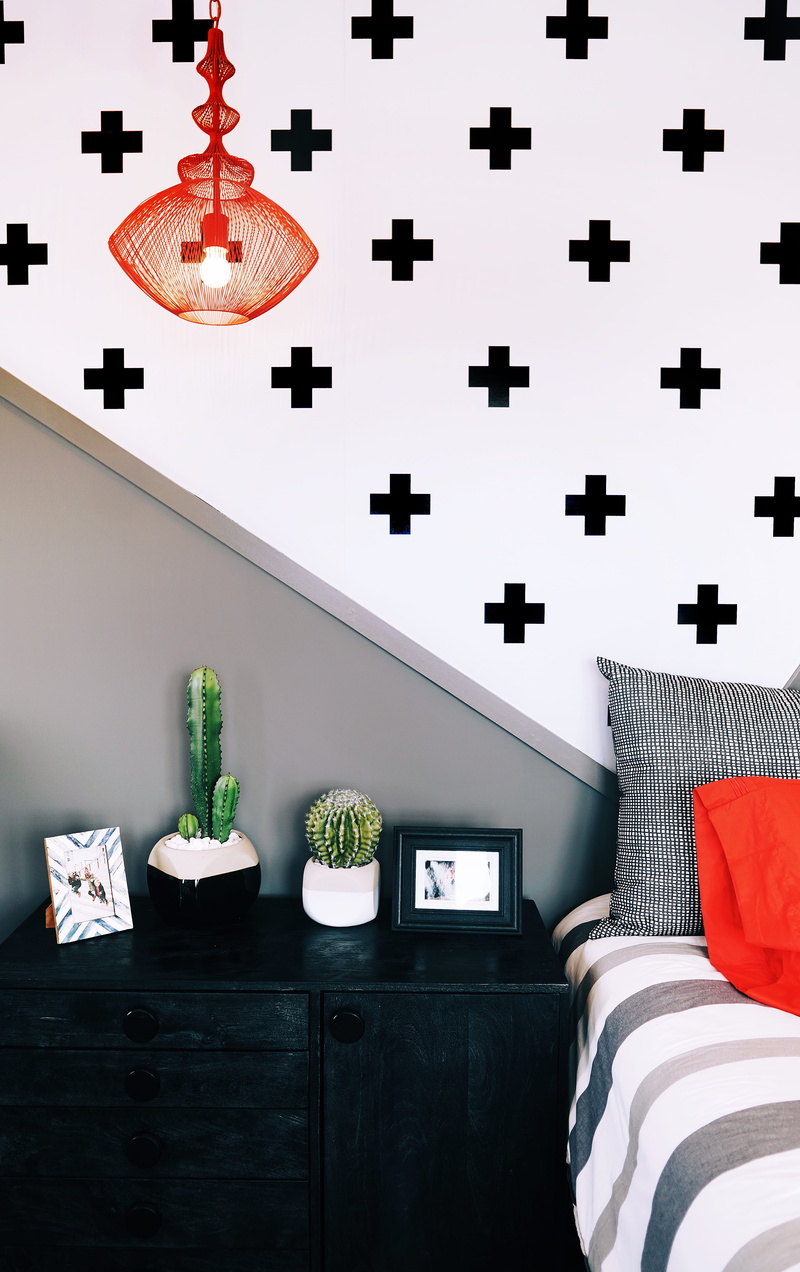hanging, lighting, cactus, cabinet, electric lamp, domestic room, symbol, lighting equipment, home interior, pillow, furniture, dresser, living room