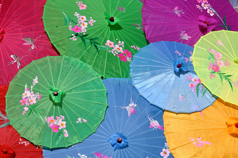 chinese screen, colorful, day, backgrounds, festival, vulnerability, umbrella, high angle view, plant part, assorted, decoration, pattern, paper parasol