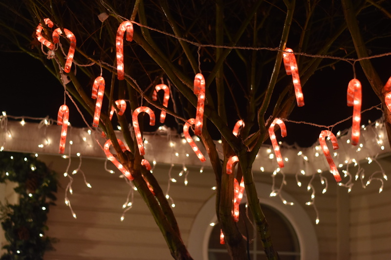 electricity, chico, no people, chinese new year, plant, string, 5K, lantern, lights, lamp, chinese lantern, united states, snow, white, outdoors, chinese lantern festival