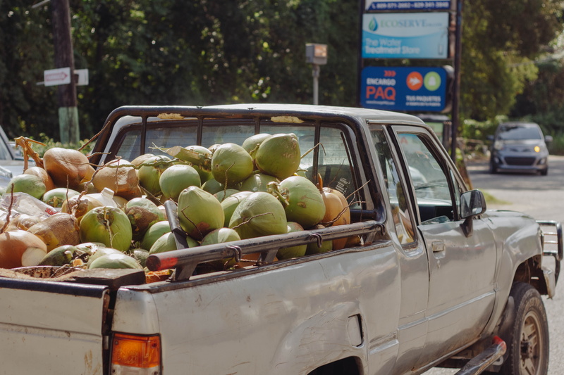 5K, pickup truck, street, motor vehicle, large group of objects, pickup, wheel, vegetable, plant, mode of transportation, produce, healthy eating, vehicle