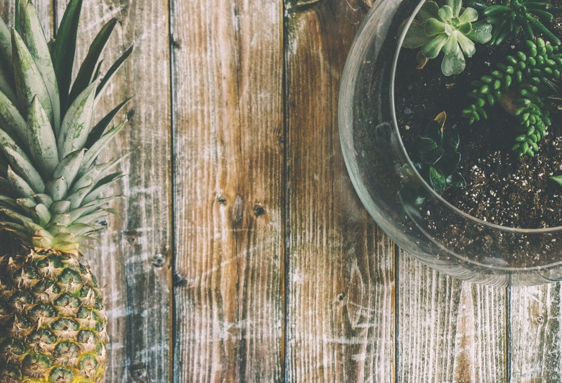 freshness, wood grain, growth, table, nature, container, food, still life, plant, close-up, flatlay, indoors, canada, botanical, leaf, succulent, directly above