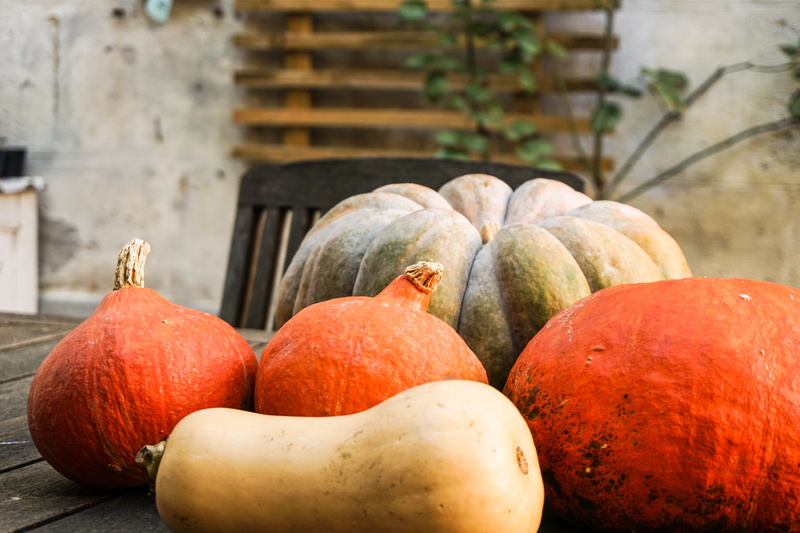 day, wood - material, vegetable, potted plant, raw food, ripe, table, peach, still life, france, food and drink, orange color, no people, outdoors, vase