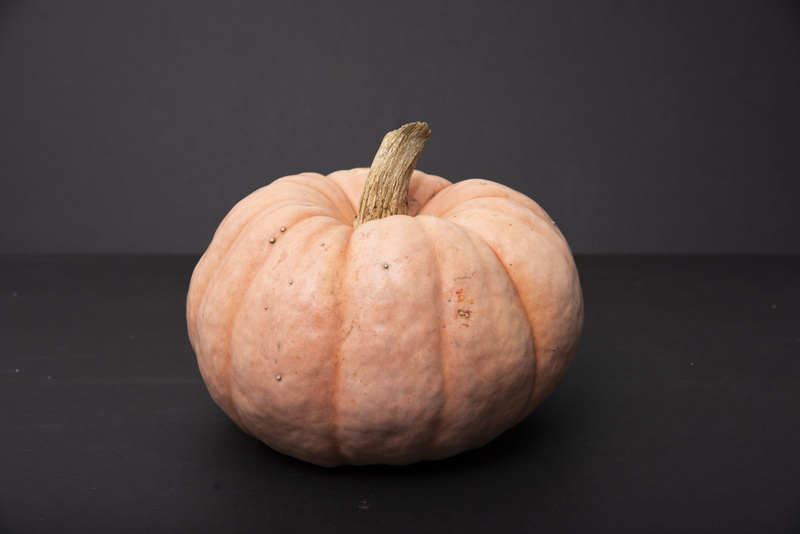 squash, eggplant, wellbeing, thanksgiving, 5K, plant, copy space, gourd, no people, orange, single object, raw food, produce, freshness, cauliflower, yam