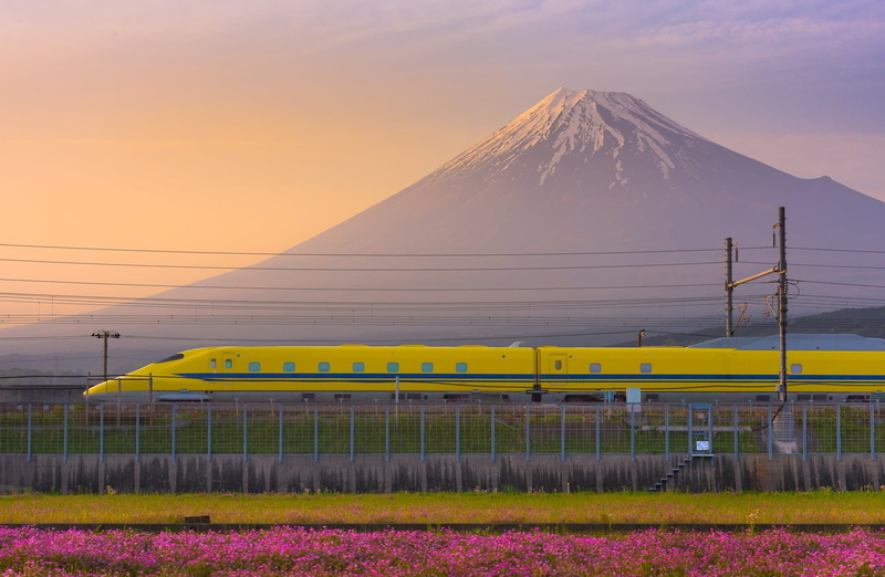 twilight, Fuji, bullet train, 1080P, flowers, Japan, sunset, dusk