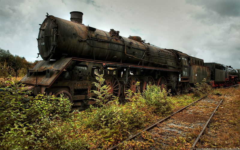 train, decline, vehicles, architecture, day, plant, abandoned, no people, trains, rusted, train - vehicle, ruined, Nature, tracks, mode of transportation