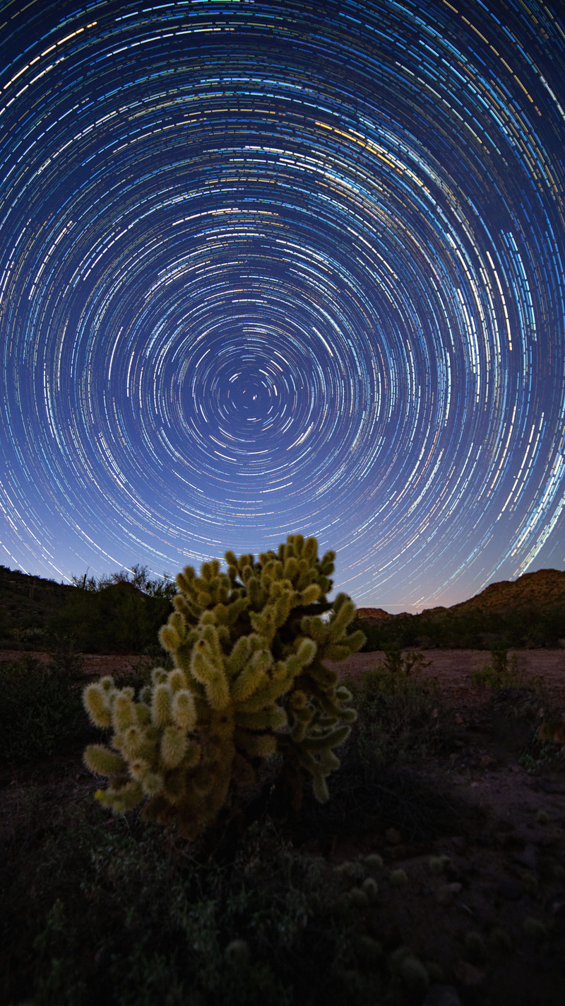 spinning, forest, desert, planet - Space, blue, cacti, illuminated, sunset, backgrounds, abstract, constellation, leafed, night, arizona, plant, scenics