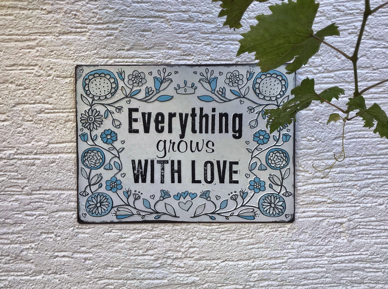 signboard, plant, outdoors, message, day, leaf, western script, building exterior, close-up, wall, architecture, nature, no people, plant part, wall - building feature