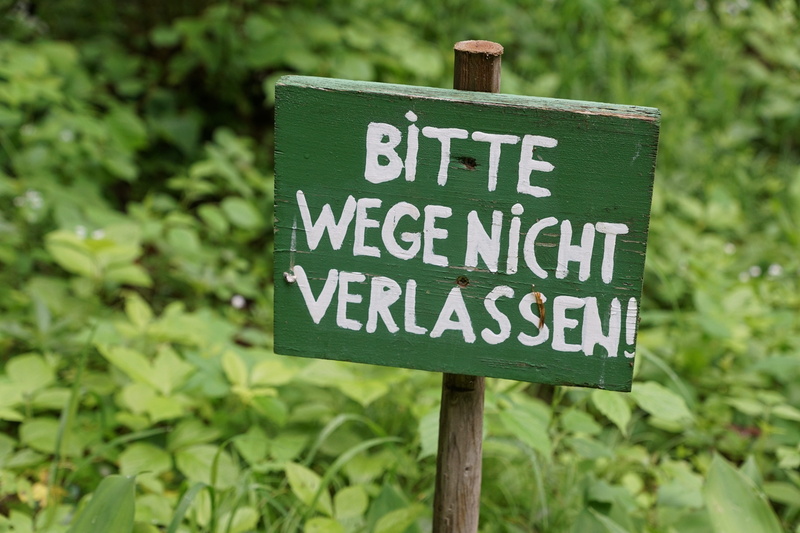 protect, message, forest, information sign, Nature, road Sign, green Color, no people, day, warning, meadow, communication, capital letter, away, green