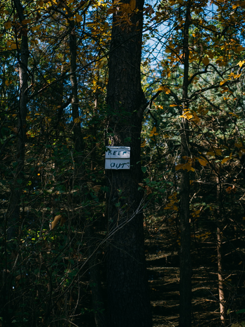 land, tree trunk, creepy, wood, signage, leavesleaf, keep, wilderness, plant, nature, growth, text, autumn, michigan, no people, brown, board, fall, keep out