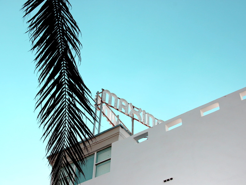 sunlight, nature, low angle view, built structure, angle, day, palm, concrete, sky, tree, outdoors, construction industry, blue, palm tree, text, clear sky