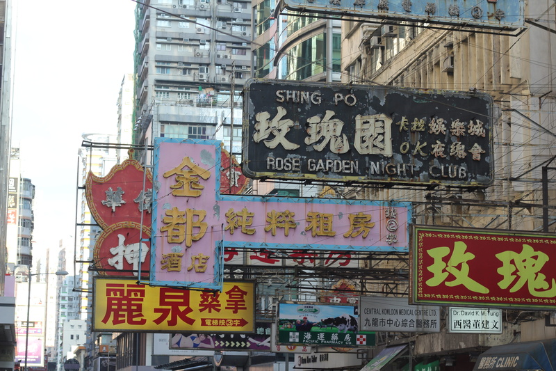 club, rose, commercial sign, information, western script, signboard, advertisement, Night Club, building, communication, garden, night, china, script, no people