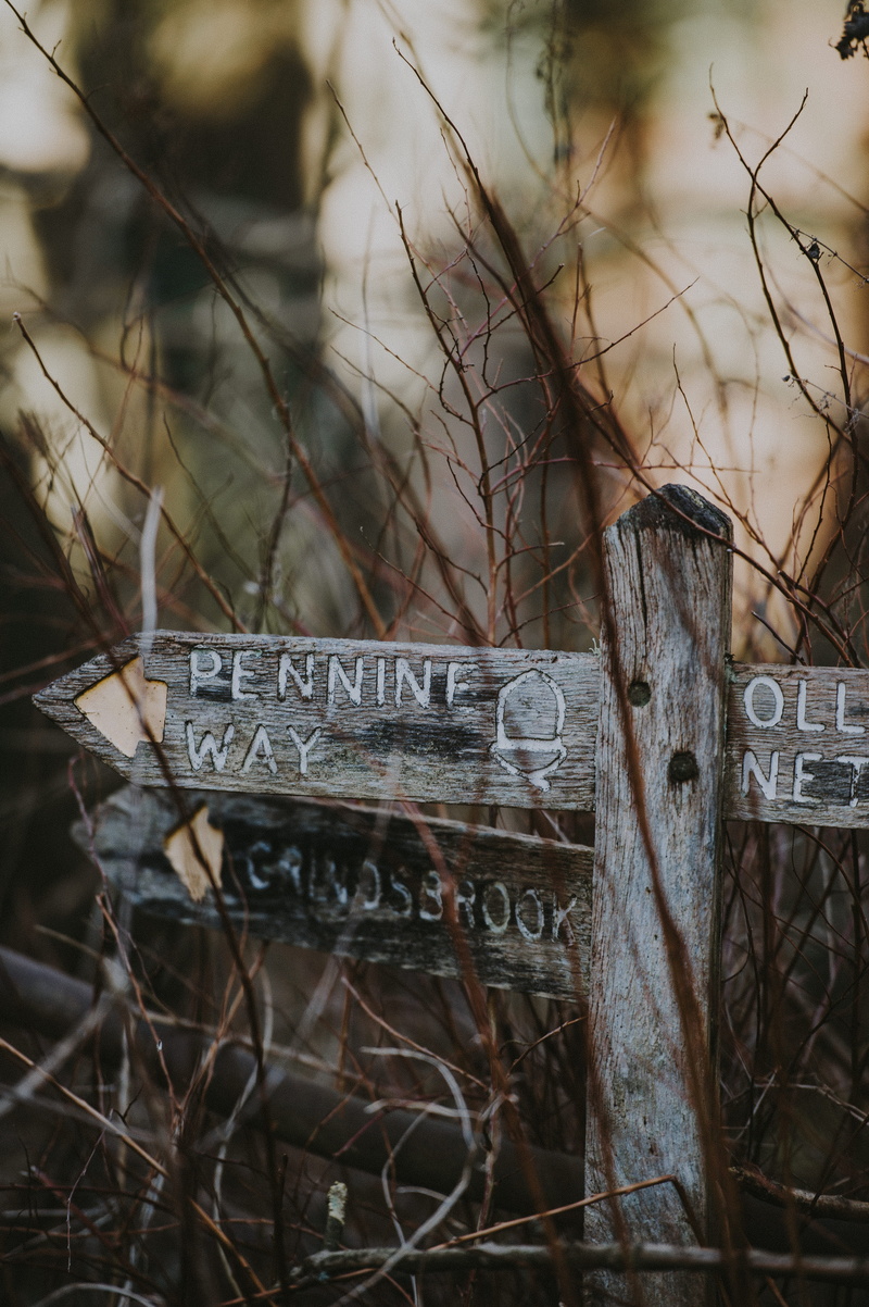 signboard, walk, wood - material, footpath, no people, communication, metal, day, signpost, information, boundary, outdoors, brown, close-up, old, plant