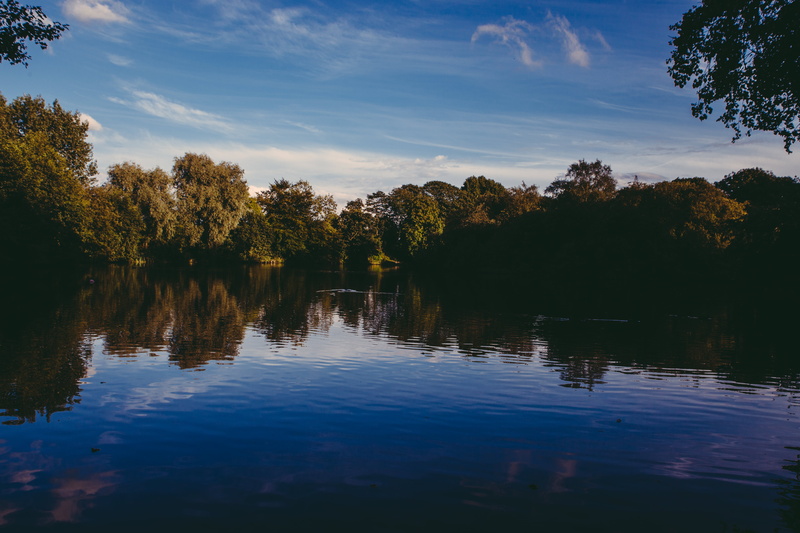 idyllic, daytime, trees, outdoors, growth, near, tree, green, reflection, clounds, green color, waterfront, scenics - nature, nature, beauty in nature