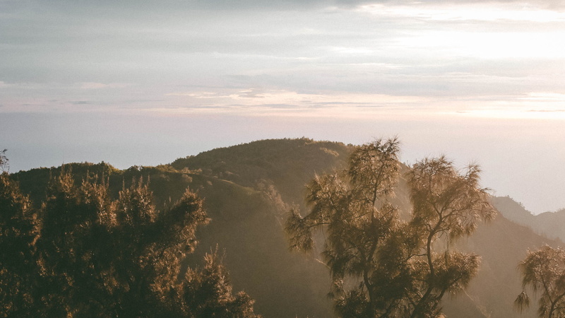 clound, scenics - nature, mountain, hill, beauty in nature, plant, sun, 2K, pine tree, tall, view, sky, majestic, outdoors, daytime, travel destinations