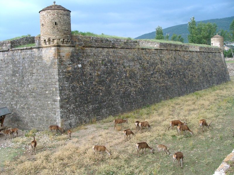 nature, old ruin, animal, history, jaca, mammal, outdoors, ancient, day, 2K, citadel, huesca, sky, built structure, plant, building exterior, fortification
