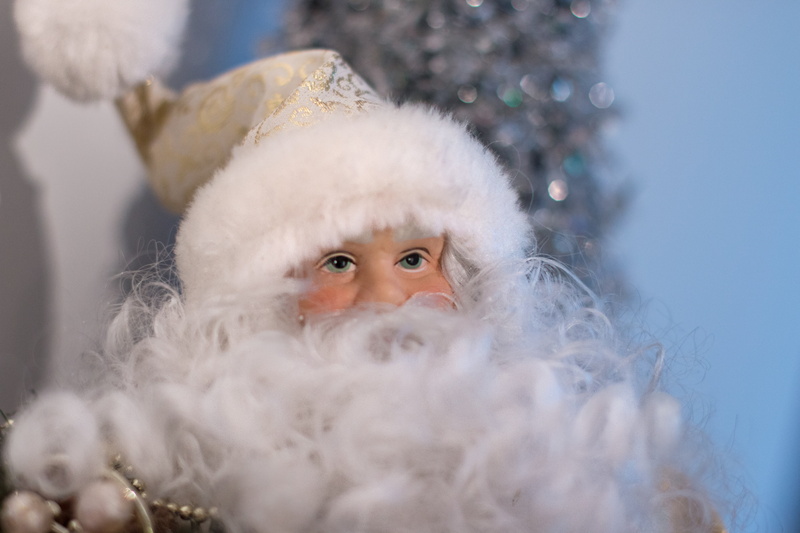 5K, fun, headshot, snowflake, gray hair, holidays, offspring, christmas ornaments, hinder, emotion, nicholas, mature adult, looking at camera, made, child
