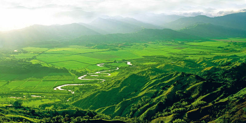 green color, scenics - nature, COFFY COUNTRY, COLOMBIA, landscape, field, green, agriculture, outdoors, fog, valley, 4K, no people, beauty in nature, Valle de Cocora