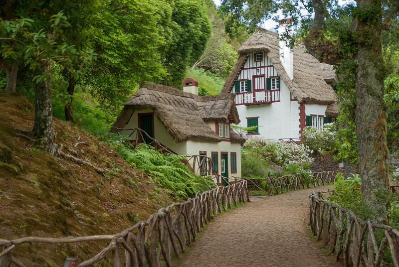 house, building exterior, 4K, nature, day, city, pavilion, thatch, built structure, green color, plant, footpath, madeira, residential district, the way forward