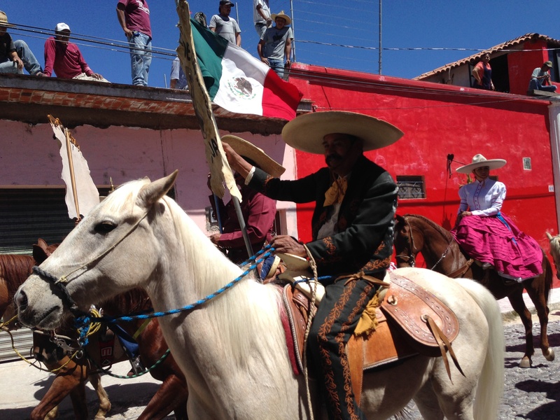 hat, livestock, men, horseman, symbol, mexican flag, working animal, real people, horseback, horses, vertebrate, herbivorous, one animal, lifestyles, animal