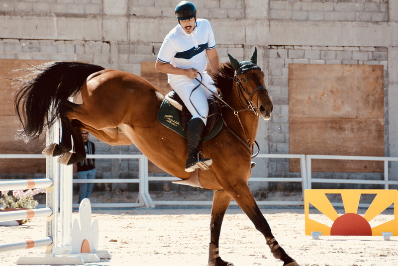 helmet, activity, 4K, brown, daytime, domestic, one person, ride, working animal, daylight, vertebrate, jockey, rider, animal wildlife, day, saddle, recreation