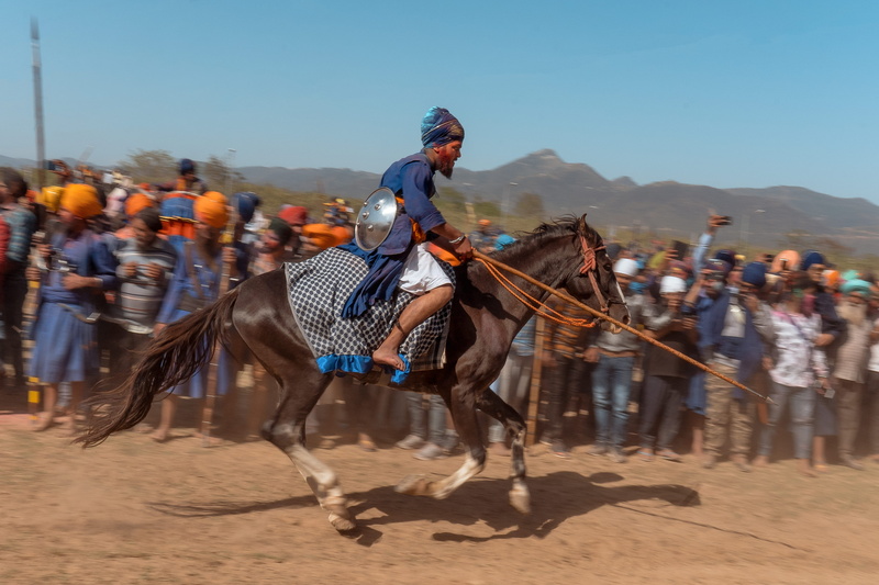 people, tribe, lifestyles, 4K, land, helmet, equestrian, men, mammal, domestic, team, vertebrate, outdoors, sport, domestic animals, andalusian horse