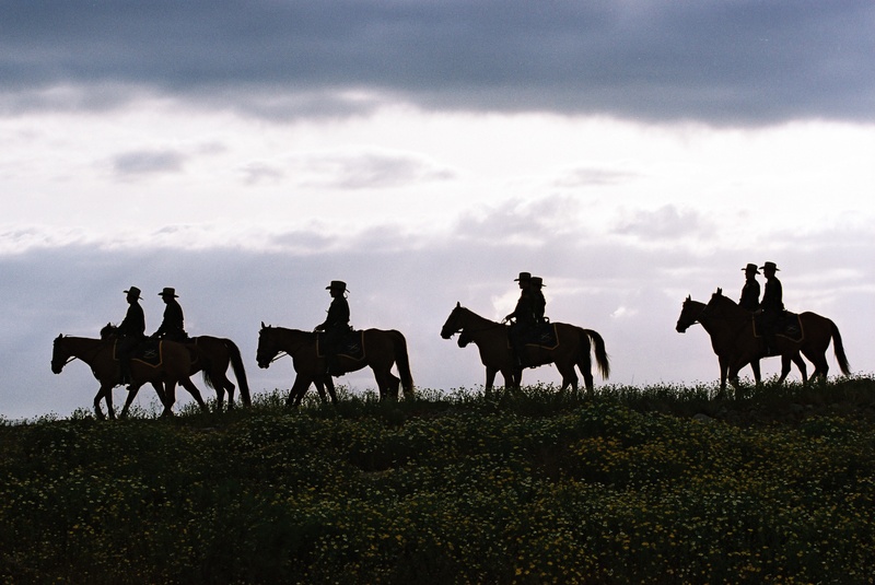 silhouettes, riders, group of animals, horses, domestic animals, livestock, desert, country, landscape, seven, nature, animal wildlife, 2K, sunset, cloud - sky