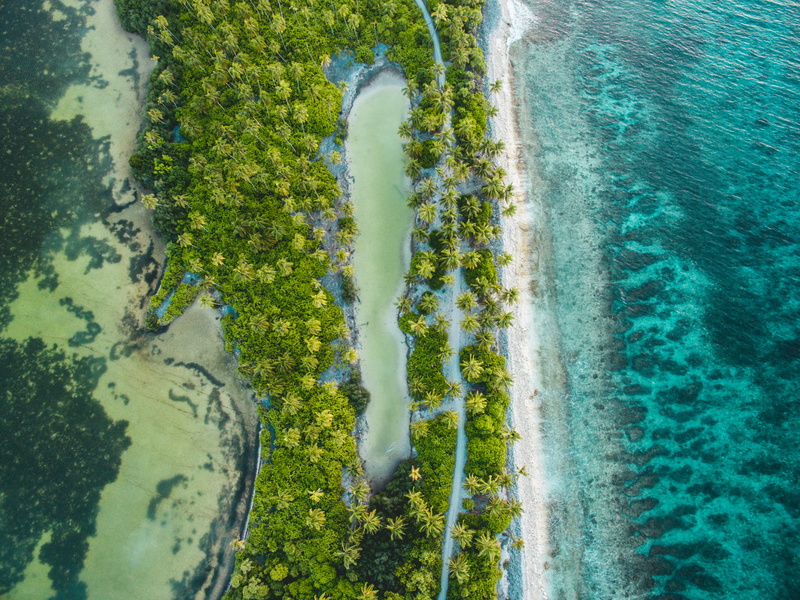 beach, near, day, plant, tranquil scene, flowing, land, body, growth, tranquility, bird, eye, water, nature, beauty in nature, ocean, lake, high angle view