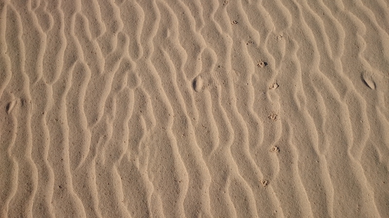 dunes, outdoors, arid climate, wave pattern, backgrounds, nature, day, climate, tranquility, forms, scenics - nature, high angle view, sand, brown, pattern