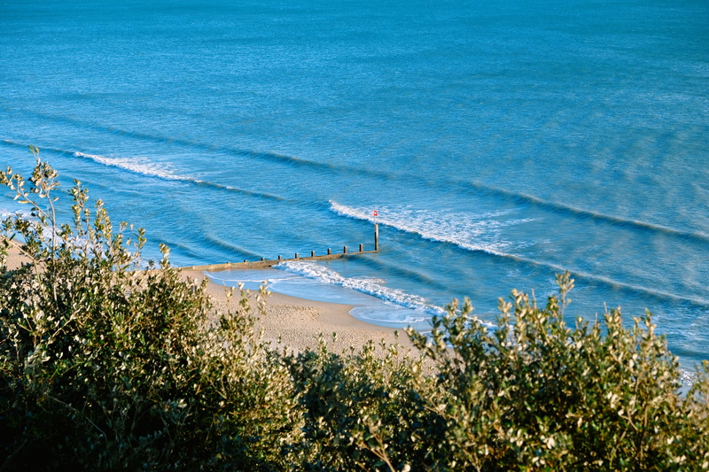 greenery, photograph, nautical vessel, beach, green, sand beach, sea, no people, 5K, daytime, day, growth, land, sand, scenics - nature, photo, blue, plant
