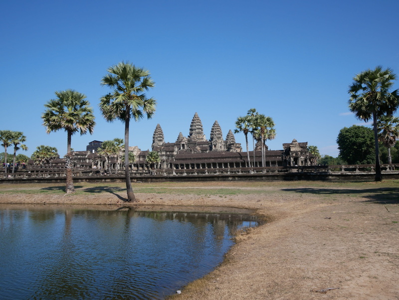 travel, tourism, ancient civilization, history, coconut palm tree, blue, places of interest, plant, sky, palm tree, building exterior, nature, cambodia