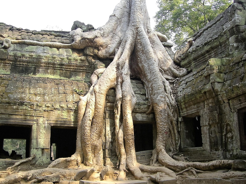 the past, religion, ancient, belief, ruined, archaeology, spirituality, Angkor Wat, building, Old, built structure, travel destinations, building exterior