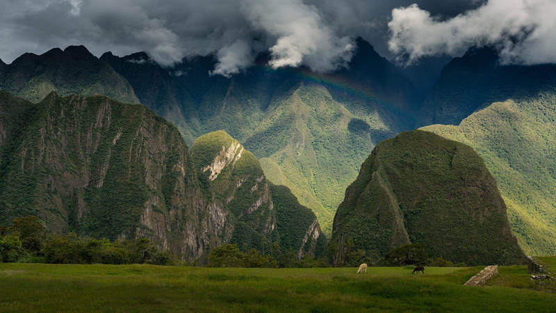 tree, land, travel destinations, Andes, non-urban scene, mountain, plant, rainbows, mountain range, Trees, Hill, tranquil scene, mist, beauty in nature