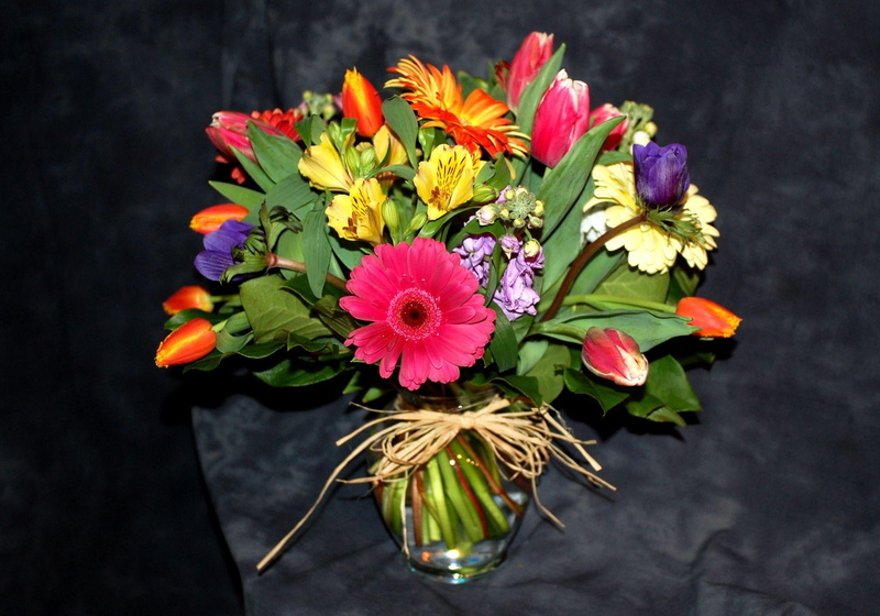 gift, flower, love, fragility, leaf, bunch of flowers, flower Head, flowering plant, daisy, lily, celebration, arrangement, tulip, flower arrangement, romance
