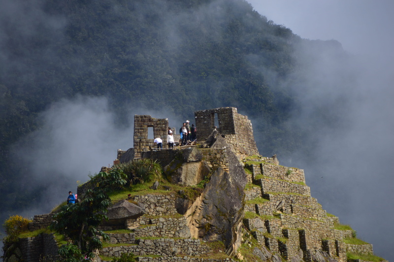 the past, nature, mountain, peruvian, ancient, macchu, machu pichu, landscape, building, hiking, inca, old ruin, picchu, building exterior, tree, incas