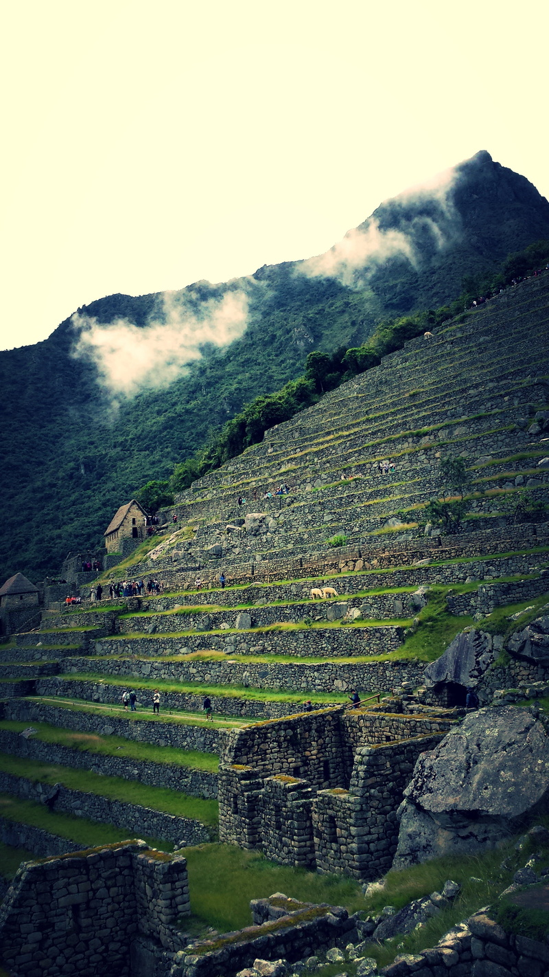 inca, photo, wall, environment, rock, architecture, landscape, nature, mountain range, growth, morning, andes, beauty in nature, agriculture, cusco, unesco