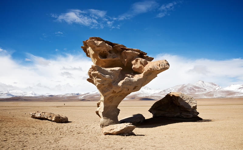 Tree, Rock, potosi, Bolivia, Piedra, 4K, norlipez, Stone, arbol, South America, de