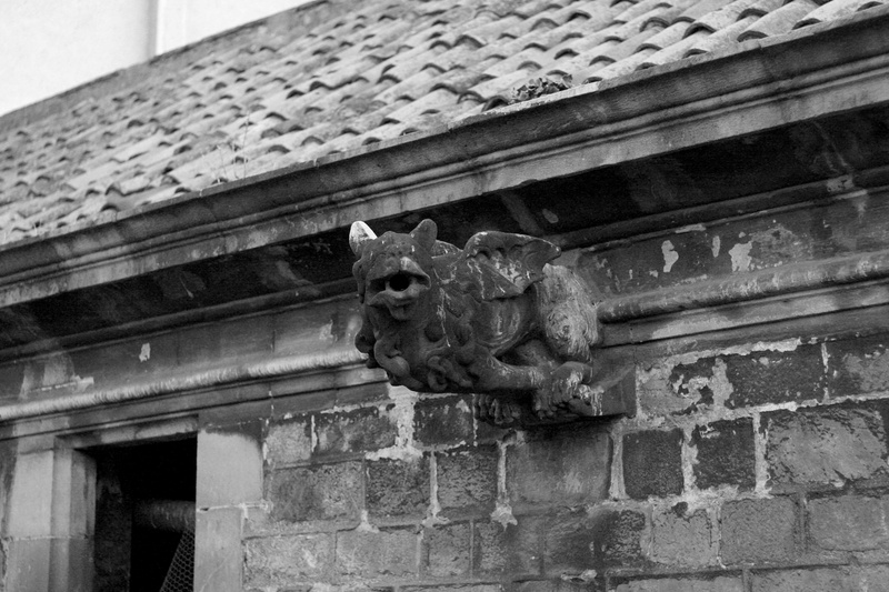 the past, abandoned palace, stone building, feline, 4K, gárgola, cat, old, low angle view, wall - building feature, palacio abandonado, sculpture, mammal