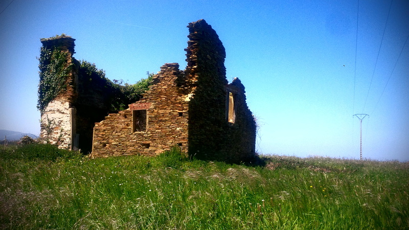 growth, spain, barreiros, day, stone, clear sky, the past, field, sunlight, nature, plant, house, ruinas, built structure, blue, no people, outdoors, lugo