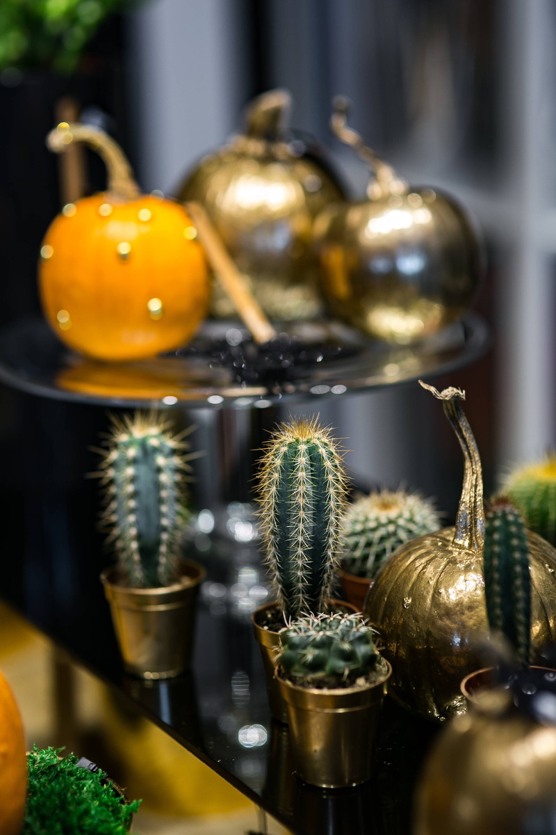 art and craft, 4K, focus on foreground, Golden, cactuses, indoors, ornamental, large group of objects, table, succulent plant, food, pumpkins, selective focus