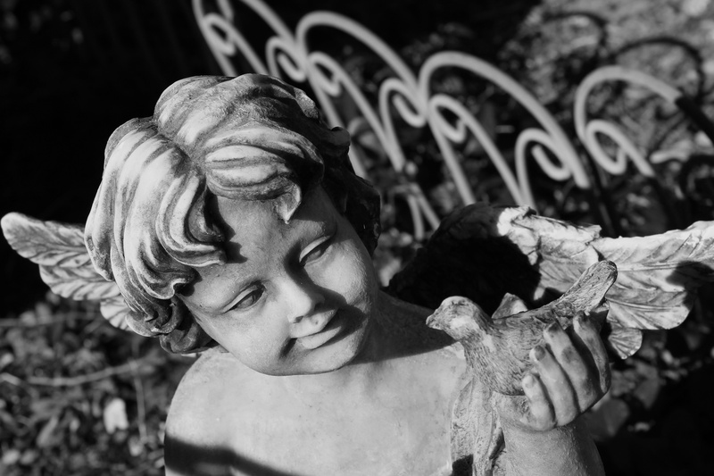 cherub, design, christian, stone, statue, peace, 4K, young, grave, bird, day, religious, care, outdoor art, angel, one person, child, catholic, garden